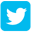 Twitter Badge